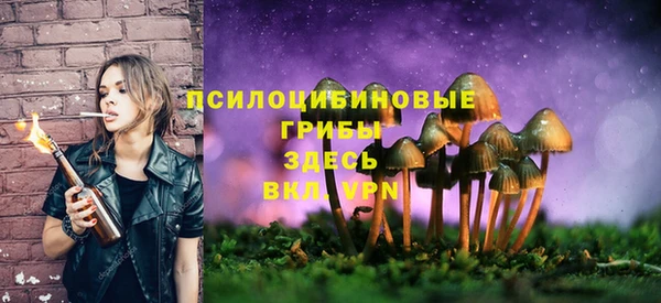 соль курить ск Алексин