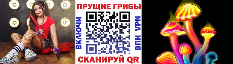 Галлюциногенные грибы мицелий  где найти наркотики  Апшеронск 