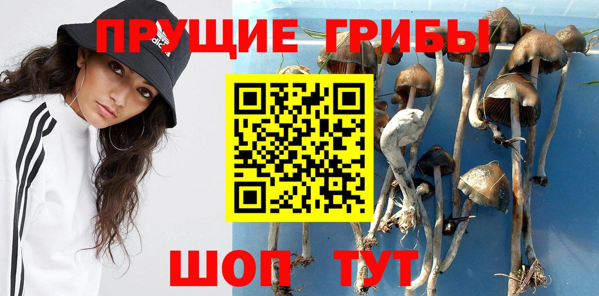 Апшеронск  Галлюциногенные грибы ЛСД  Галлюциногенные грибы мицелий  Вход с VPN 