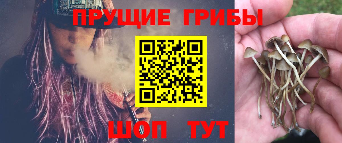 Псилоцибиновые грибы MAGIC MUSHROOMS Апшеронск